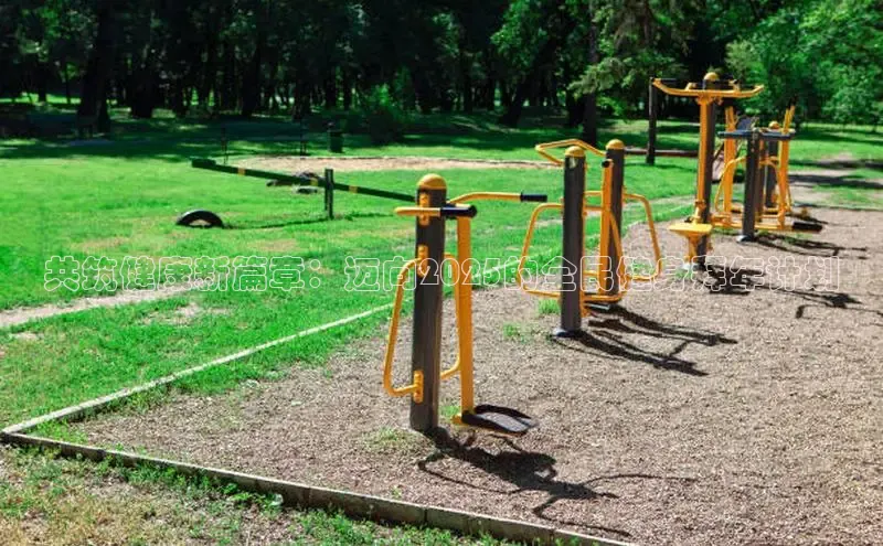 天生赢家凯发一触即发小说